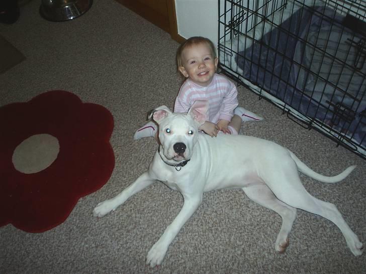 Blanding af racer Ronja billede 5