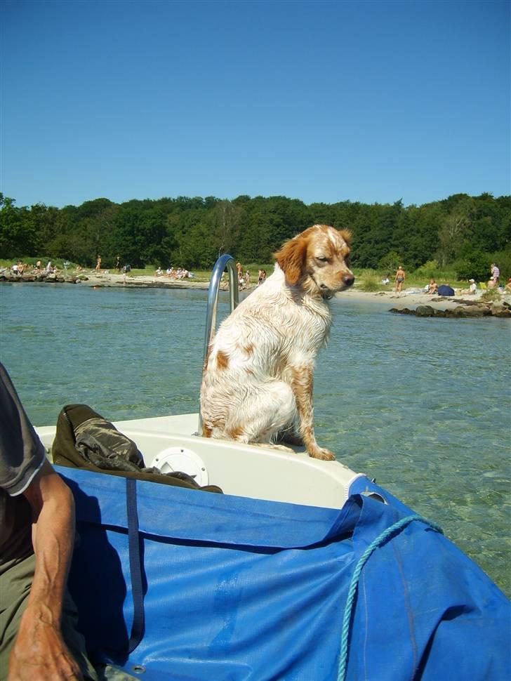 Breton Mille - når men farvel for denne gang billede 18