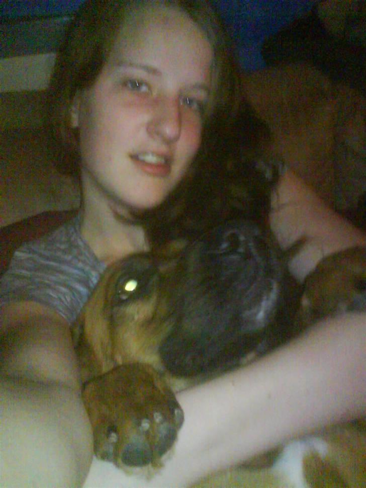 Blanding af racer Tiggi  billede 4