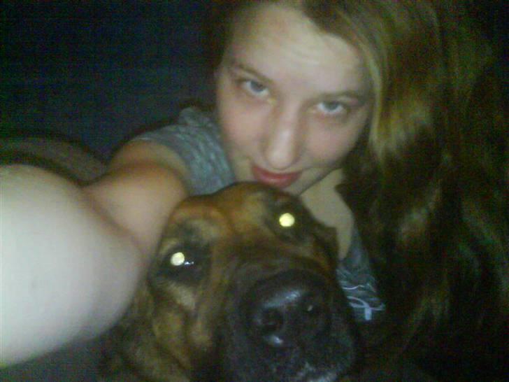 Blanding af racer Tiggi  billede 5