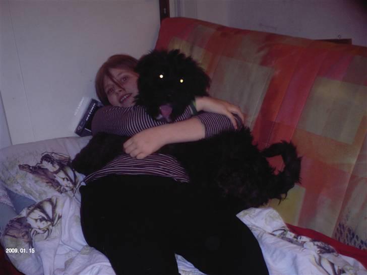 Bouvier des flandres | Buck |  I ENGLAND NU :( - Cille & Buck <3 billede 7