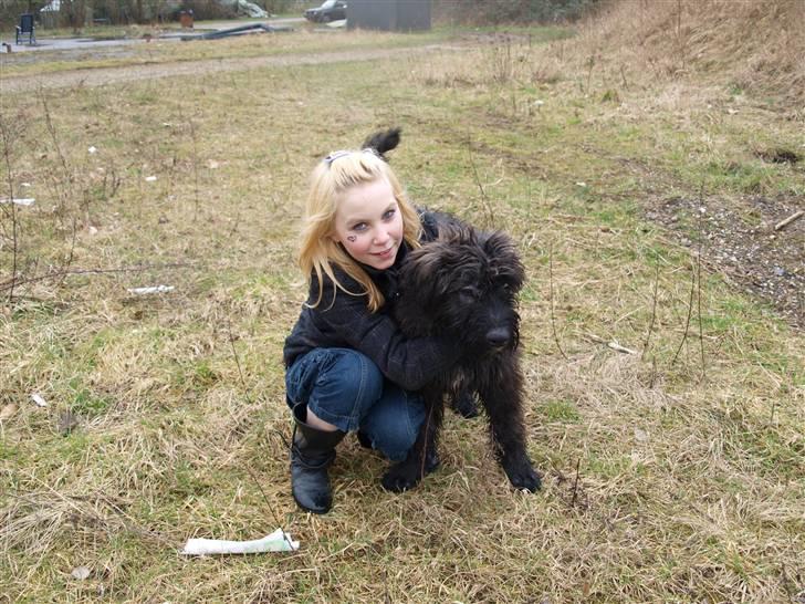 Bouvier des flandres | Buck |  I ENGLAND NU :( - Mig & Den sote Bamsebjørn Sidste Dag ;´(  billede 13