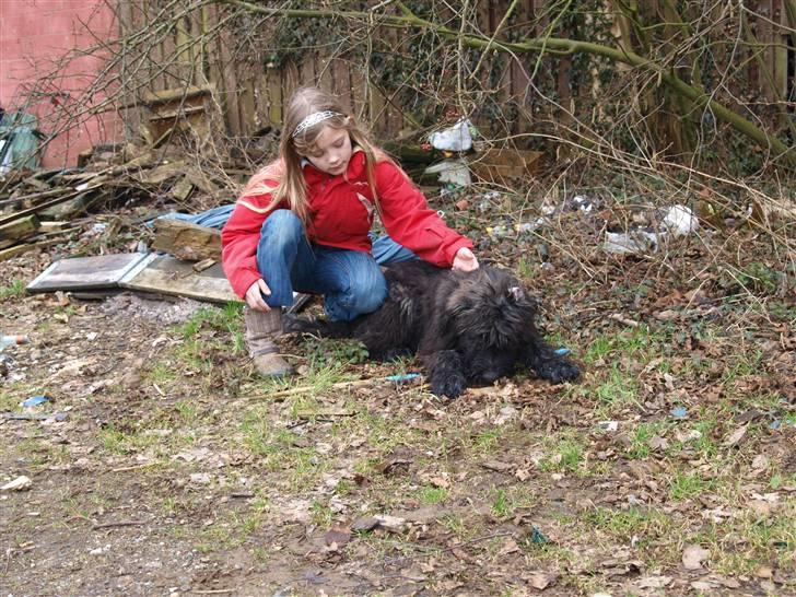Bouvier des flandres | Buck |  I ENGLAND NU :( - Louise & Buck. Den sidste Dag :( billede 15
