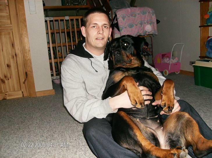 Rottweiler Dixie billede 18