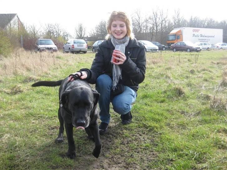 Labrador retriever Sille (Himmelhund) - Det er min veninde Stine, som sider sammen med Sille..;-).. billede 7