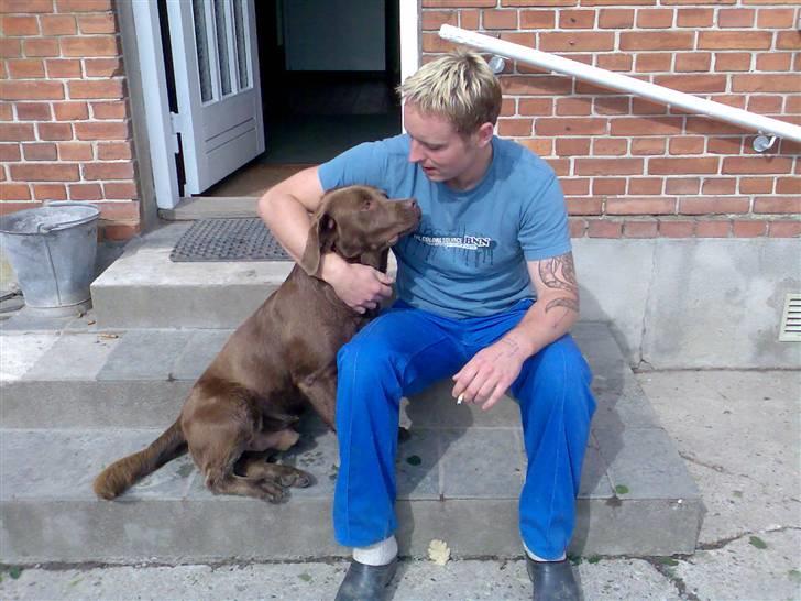 Labrador retriever kenzo<3 R.I.P min prins ;'( - kenne´miin<3 & andi´miin<33  billede 6