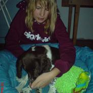 Engelsk springer spaniel Mathilde