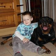 Rottweiler Xinka R.I.P <3