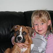 Blanding af racer Congo