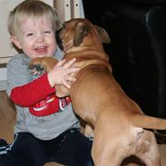 Blanding af racer Congo