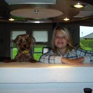 Yorkshire terrier lady