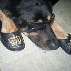 Blanding af racer RASMUS