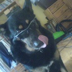 Blanding af racer RASMUS