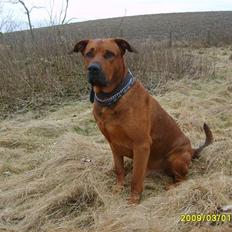 Blanding af racer boss