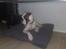 Boxer Hilmer
