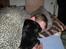 Labrador retriever cherri - har fået lov at sove under dynen ved far