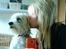 Chinese crested powder puff buster {R.I.P} - mig der kysser buster .. ilu <3