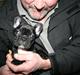 Fransk bulldog Blance Noir`s Yrsa