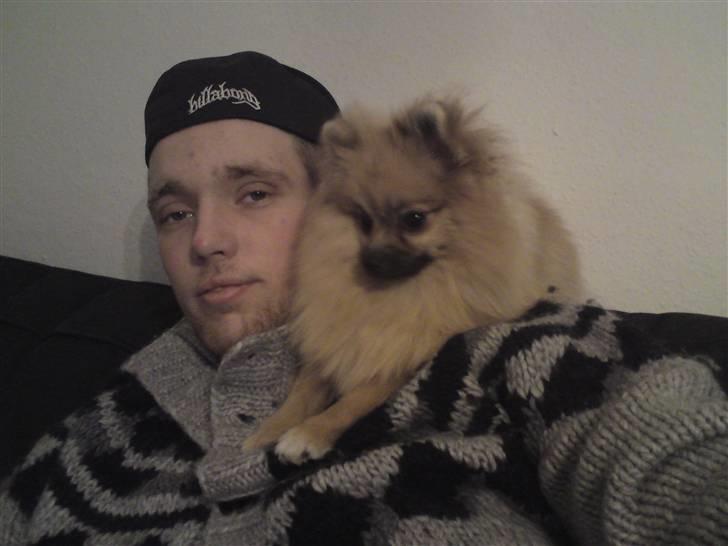 Pomeranian Lindgreen's Fiona - Mig og min far Lasse<3 billede 13
