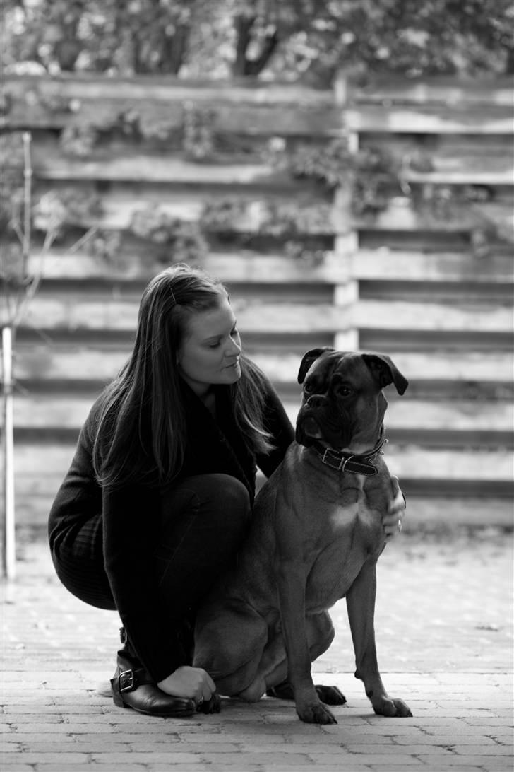 Boxer Tyson - Mig og mor billede 18