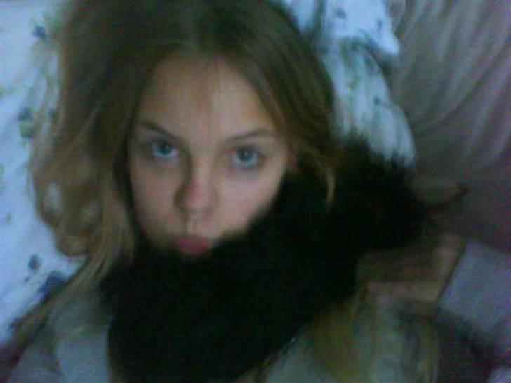 Yorkshire terrier lady billede 12