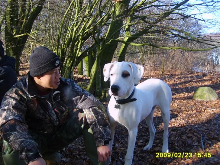 Blanding af racer Sally - Sally ved siden af min kammerat san. billede 9