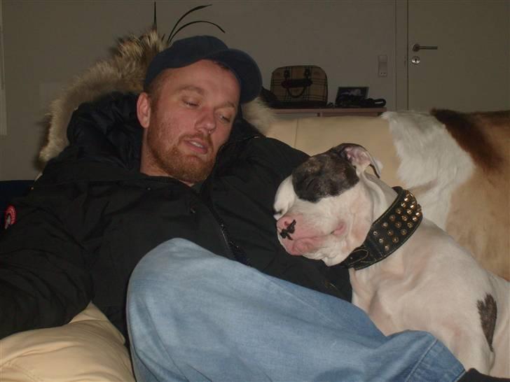 Blanding af racer Hermann billede 13