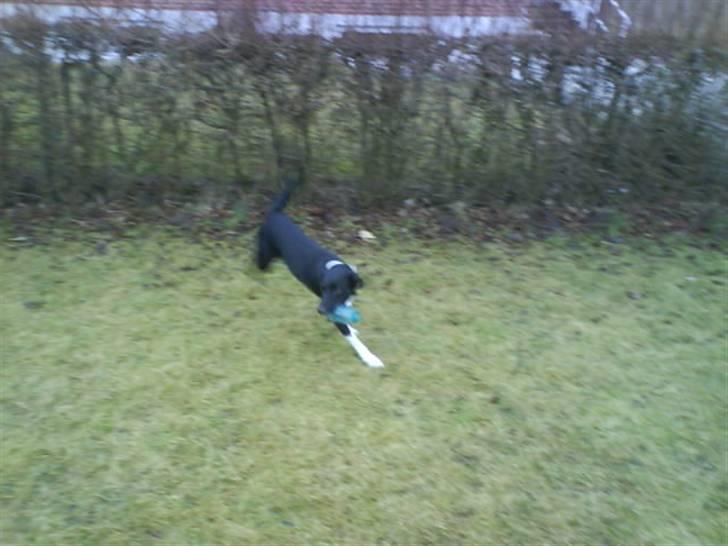 Blanding af racer Thejs - Jeg elsker dig såååh meget mayn<3 billede 5