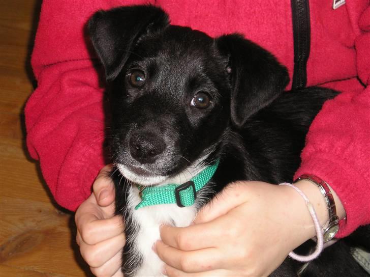 Blanding af racer Thejs - Thjes<33 og miig da vi var lille:D billede 10