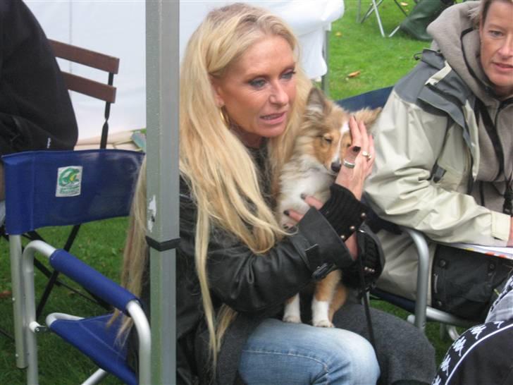 Shetland sheepdog Spirens Diva - Sanne Salomonsen sidder her med Diva (:  billede 4
