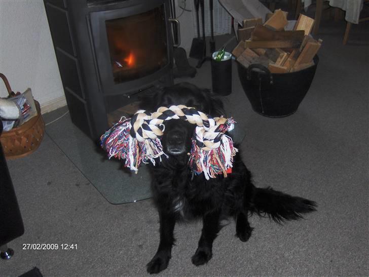 Blanding af racer Charlie - ej....sig nu værsgo billede 10