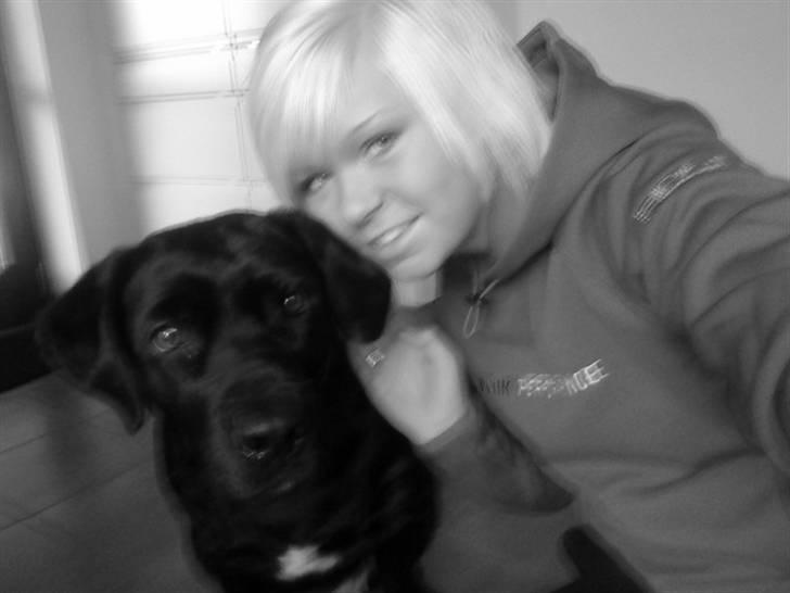 Labrador retriever mOlly  - mig og molly :)  billede 4