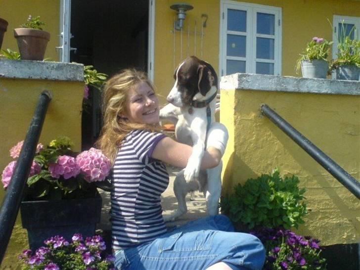 Blanding af racer Mickey billede 8