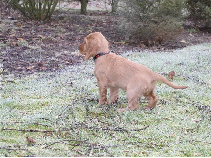 {{currentPhoto.altText}} billede {{currentPhoto.number}}