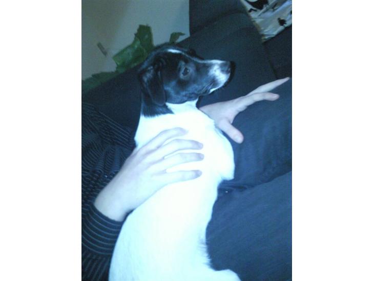 {{currentPhoto.altText}} billede {{currentPhoto.number}}