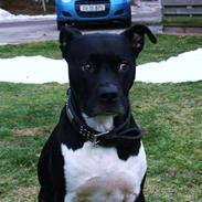 Blanding af racer Keta