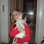 Chihuahua Muddi (fimsen)