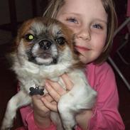 Chihuahua Muddi (fimsen)