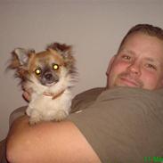 Chihuahua Muddi (fimsen)