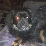 Blanding af racer thilde