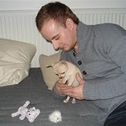 Chihuahua Odin Aros Innovation