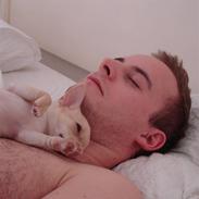 Chihuahua Odin Aros Innovation