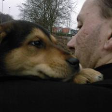 Blanding af racer Bailey