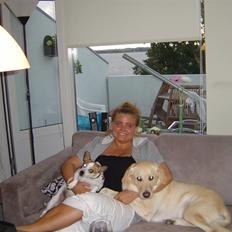 Golden retriever Frodo