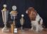 Cavalier king charles spaniel Bella