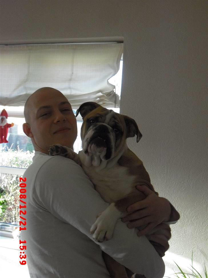 Blanding af racer Herman billede 7