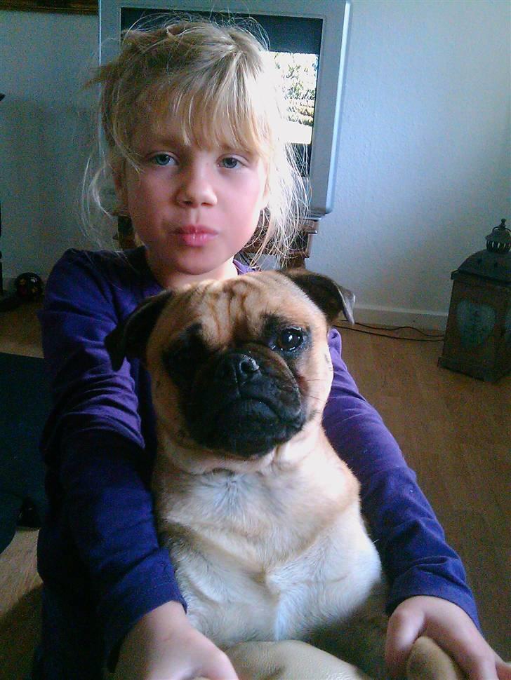 Blanding af racer Malthe billede 4