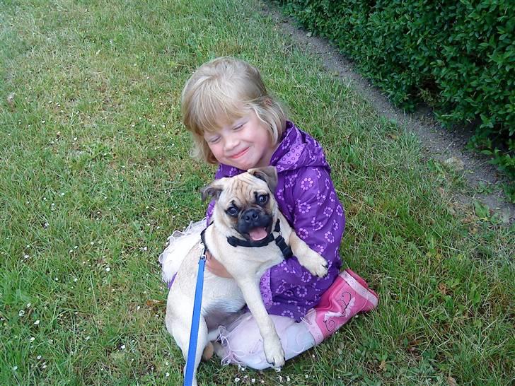 Blanding af racer Malthe - Mig og  storesøster.. billede 8