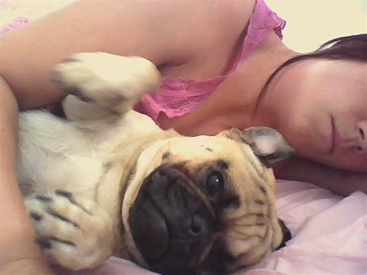 Blanding af racer Malthe - Mmm putte med mor :-) billede 9