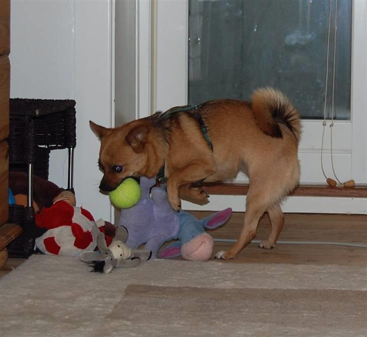 Blanding af racer bianca - jubii . nu kan jeg rode alt lejetøjet ud på hele gulvet igen... ;-) billede 17